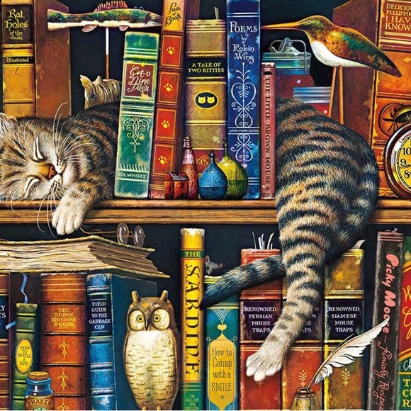 Buffalo 750 piece Cat Puzzle - Frederick the literate - Picture 3 of 3